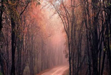 太不冷静！深圳扳成3-4拜合拉木却拳击对手直红，抱头不敢相信.