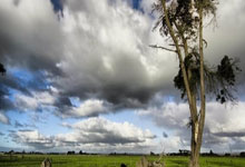 TA：明斯将担任2028年欧洲杯董事会成员，从球员角度提供建议.